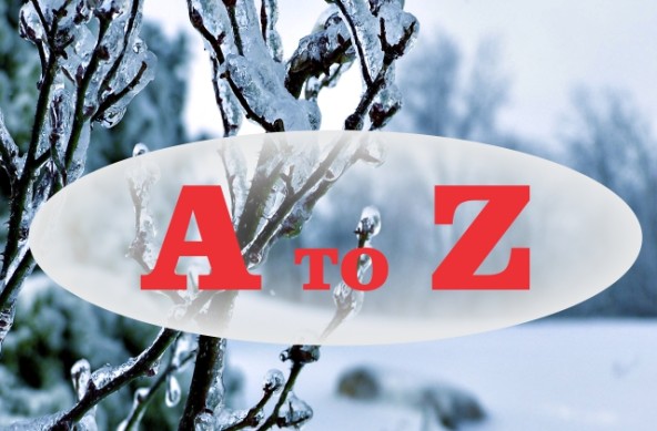 A to Z Encyclopedia of Complementary and Alternative Medicine