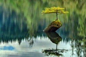 The Power of a Pause