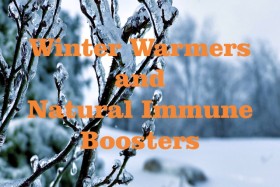 Winter Warmers and Natural Immune Boosters