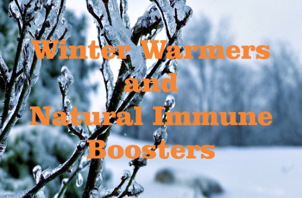 Winter Warmers and Natural Immune Boosters